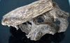OUD Silani Bakhoor muattar - wild agarwood blended with a hint of musk tahara 50g